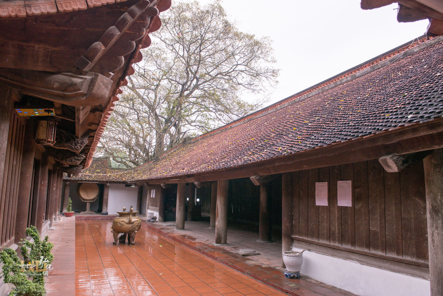 參訪法雨寺