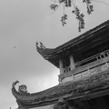 參訪法雨寺