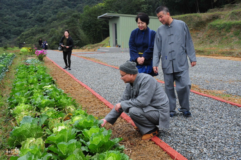 介紹雙溪小築菜園