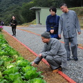 介紹雙溪小築菜園