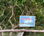 特色餐廳 動物小鳥用餐區