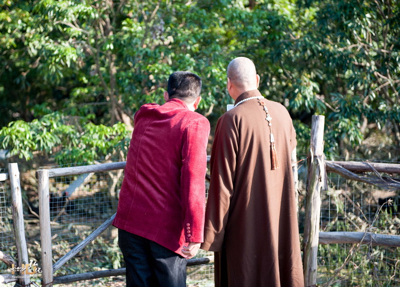 謝奕輝居士向悟道法師介紹放生的雞隻