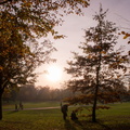 格林威治公園一景