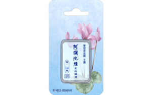 阿彌陀經系列講演精選圖片