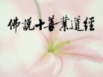 佛說十善業道經 06 淨空老法師
