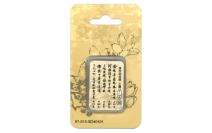 佛學基礎入門系列講演MP4 SD卡精選圖片