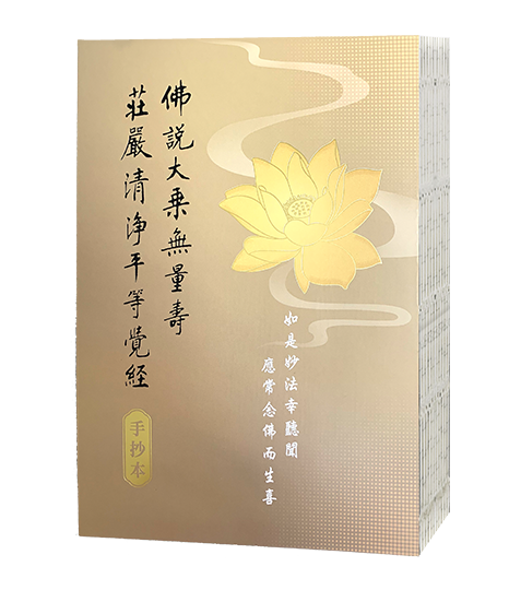 佛說大乘無量壽莊嚴清淨平等覺經手抄本