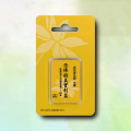 念佛的真實利益 4GB MP3 SD卡