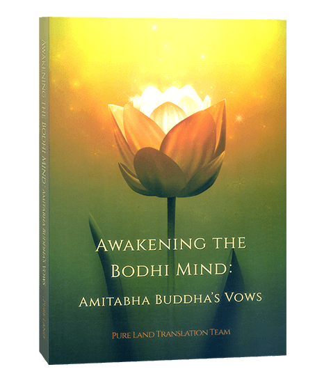 AWAKENING THE BODHI MIND：AMITABHA BUDDHA`S VOWS