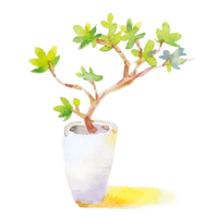 盆栽插畫 盆栽插畫
